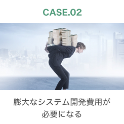 CASE.02 膨大なシステム開発費用が必要になる